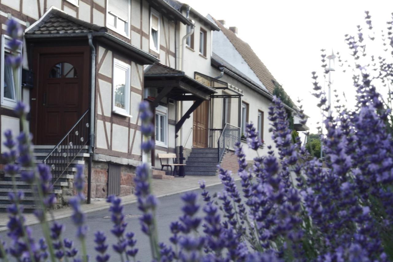 Zum Bergschloesschen Appartement Gilserberg Buitenkant foto